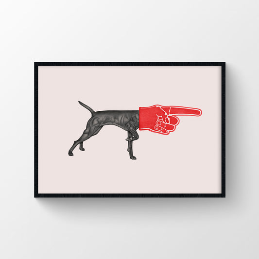 Pointer Dog
